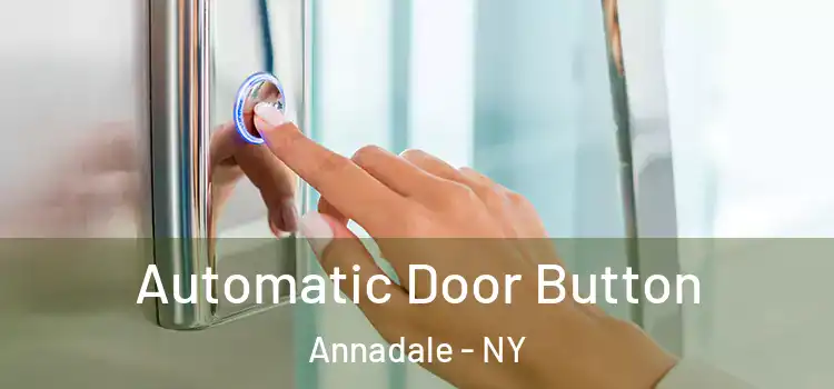  Automatic Door Button Annadale - NY