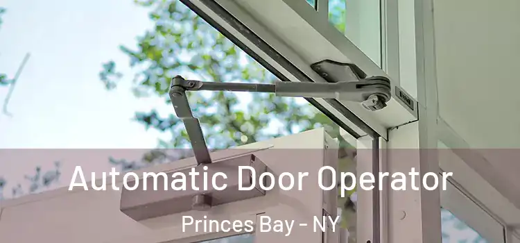  Automatic Door Operator Princes Bay - NY