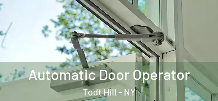  Automatic Door Operator Todt Hill - NY
