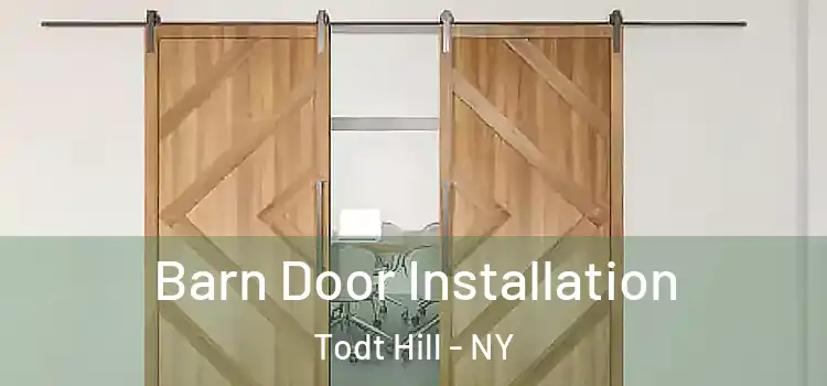  Barn Door Installation Todt Hill - NY