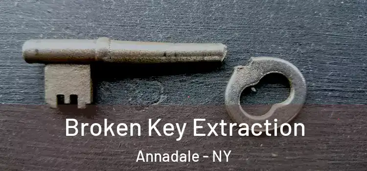  Broken Key Extraction Annadale - NY