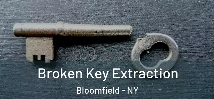  Broken Key Extraction Bloomfield - NY