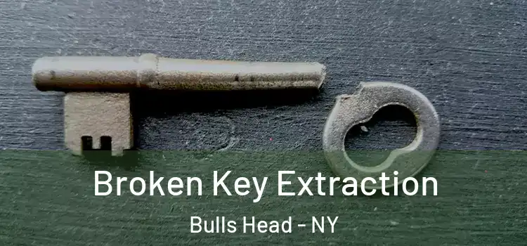  Broken Key Extraction Bulls Head - NY