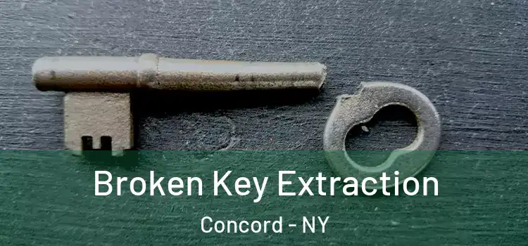  Broken Key Extraction Concord - NY