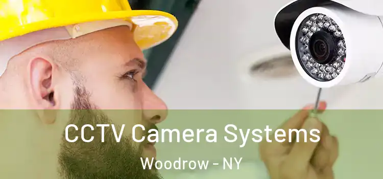 CCTV Camera Systems Woodrow - NY