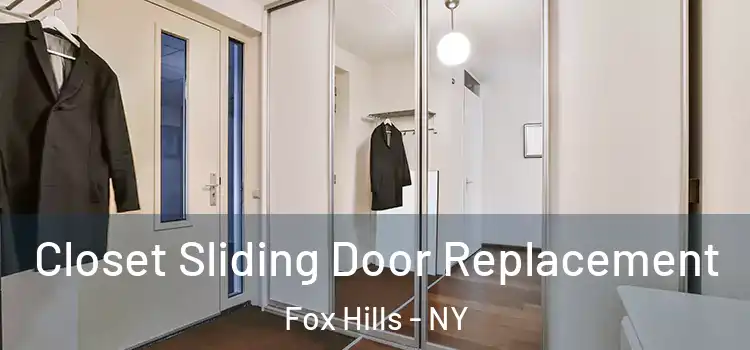Closet Sliding Door Replacement Fox Hills - NY