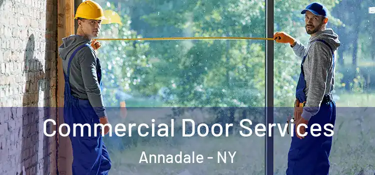 Commercial Door Services Annadale - NY
