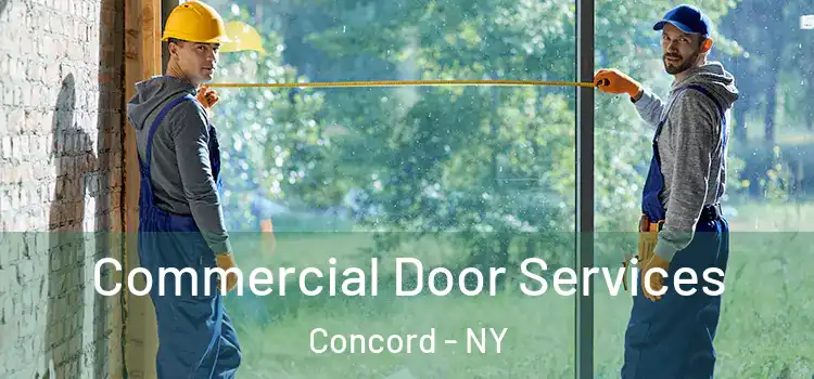  Commercial Door Services Concord - NY