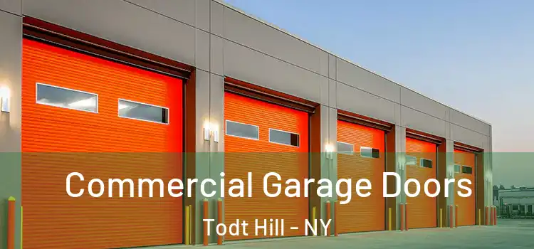  Commercial Garage Doors Todt Hill - NY