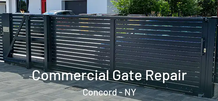  Commercial Gate Repair Concord - NY