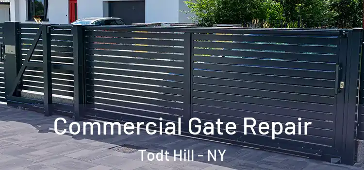 Commercial Gate Repair Todt Hill - NY