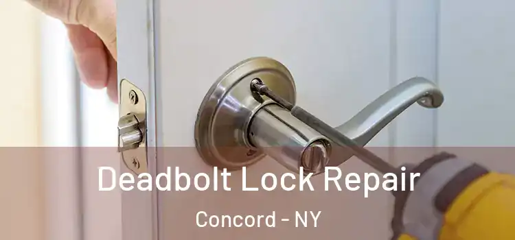  Deadbolt Lock Repair Concord - NY