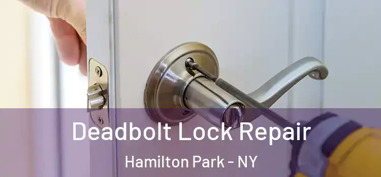  Deadbolt Lock Repair Hamilton Park - NY