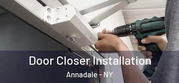  Door Closer Installation Annadale - NY