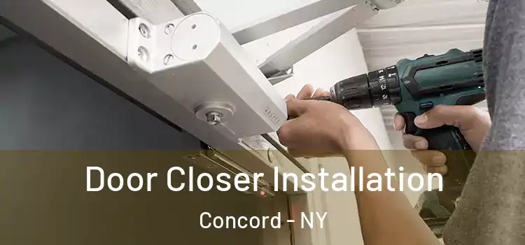  Door Closer Installation Concord - NY