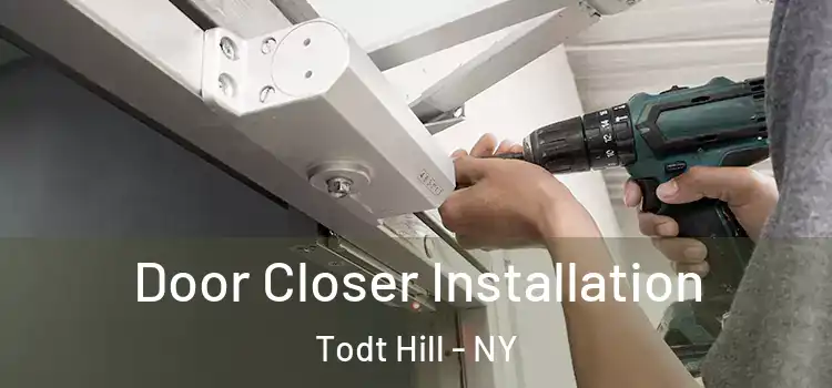 Door Closer Installation Todt Hill - NY
