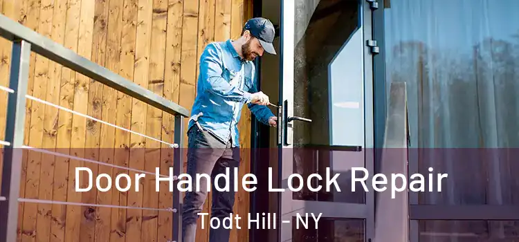 Door Handle Lock Repair Todt Hill - NY