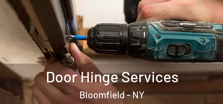  Door Hinge Services Bloomfield - NY