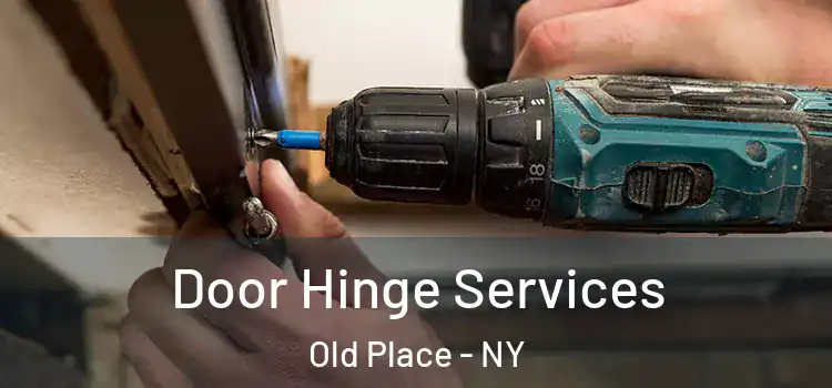Door Hinge Services Old Place - NY