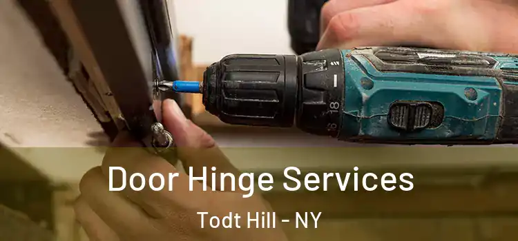  Door Hinge Services Todt Hill - NY