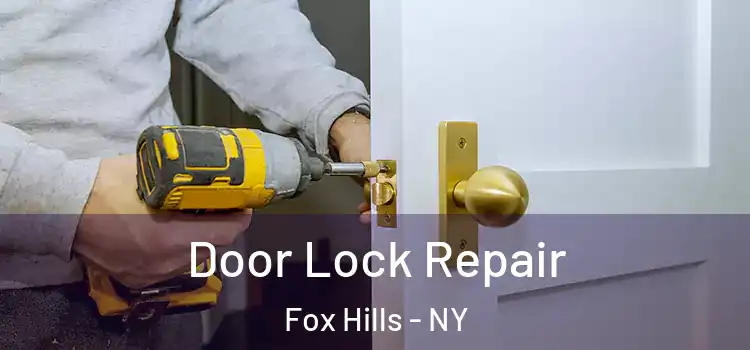  Door Lock Repair Fox Hills - NY
