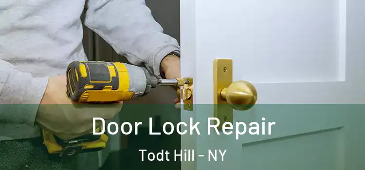 Door Lock Repair Todt Hill - NY