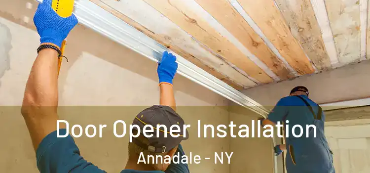  Door Opener Installation Annadale - NY