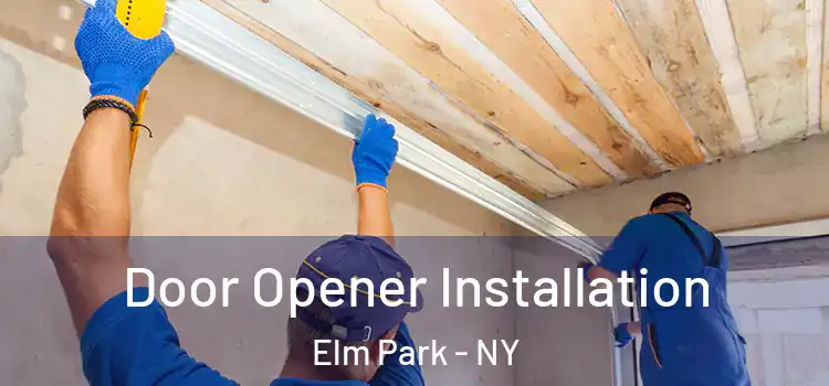  Door Opener Installation Elm Park - NY