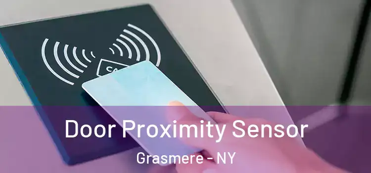  Door Proximity Sensor Grasmere - NY