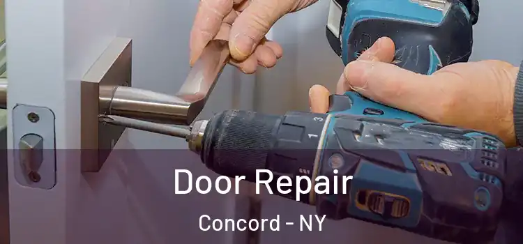 Door Repair Concord - NY