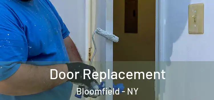  Door Replacement Bloomfield - NY