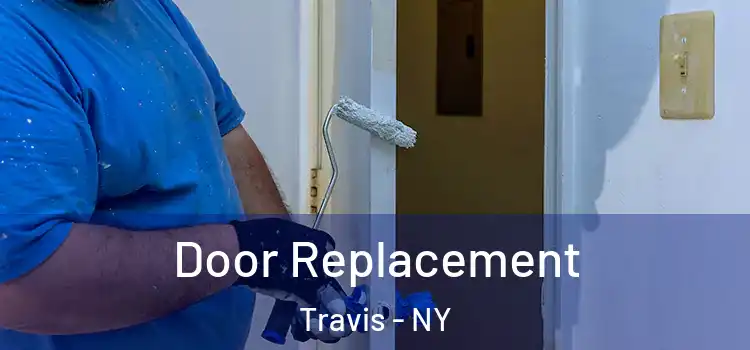  Door Replacement Travis - NY