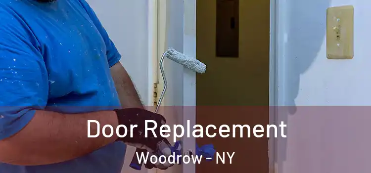  Door Replacement Woodrow - NY