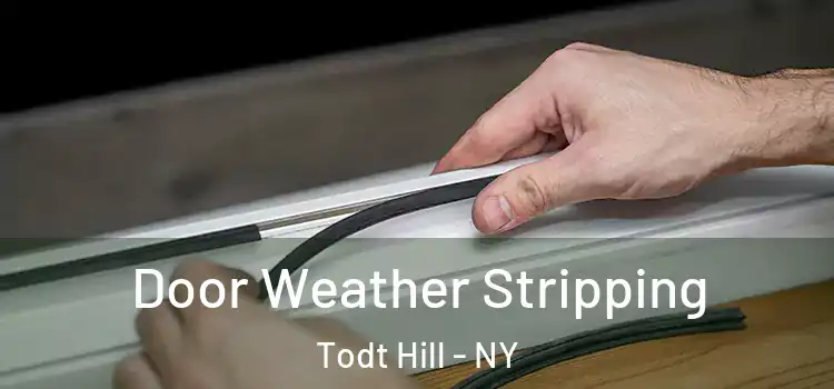 Door Weather Stripping Todt Hill - NY