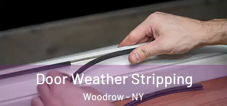  Door Weather Stripping Woodrow - NY