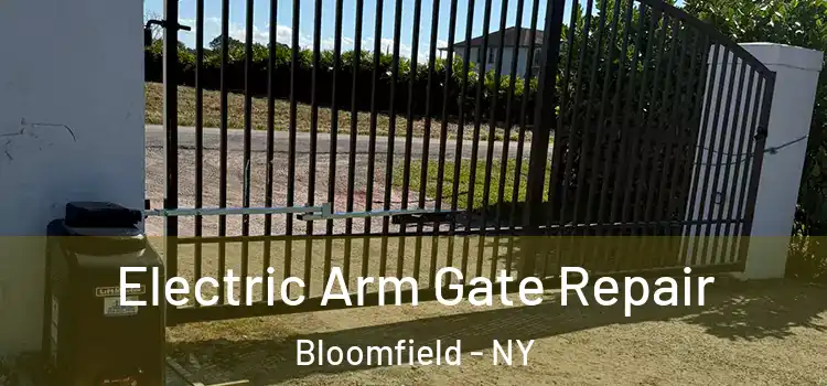 Electric Arm Gate Repair Bloomfield - NY