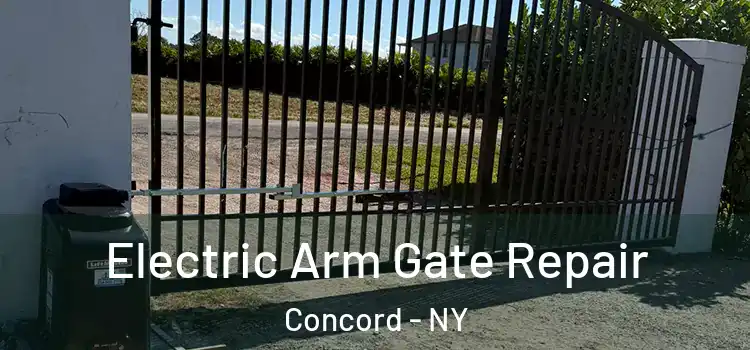  Electric Arm Gate Repair Concord - NY