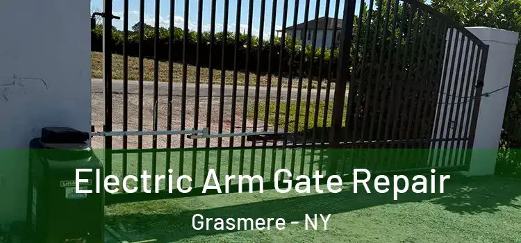  Electric Arm Gate Repair Grasmere - NY