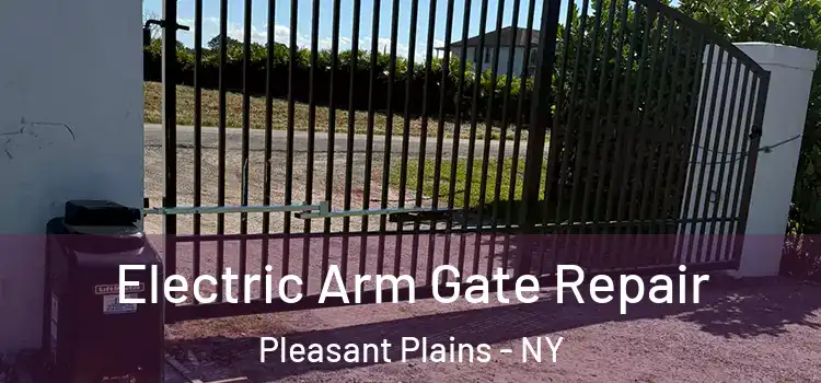  Electric Arm Gate Repair Pleasant Plains - NY