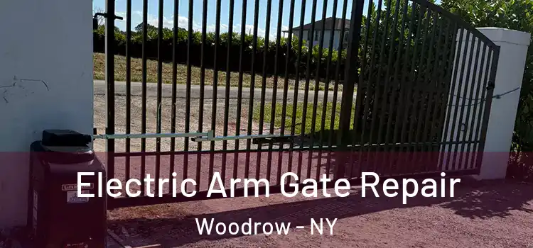  Electric Arm Gate Repair Woodrow - NY