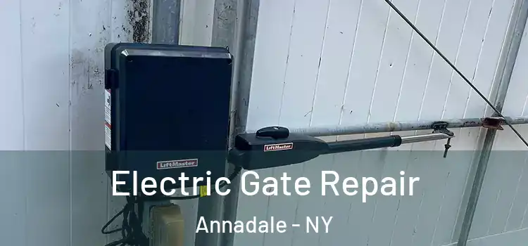  Electric Gate Repair Annadale - NY