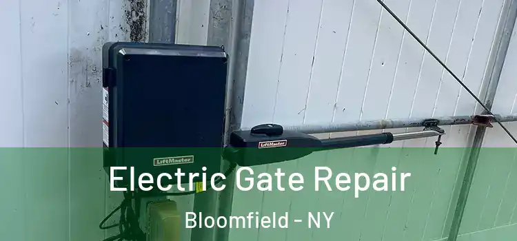  Electric Gate Repair Bloomfield - NY