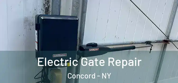  Electric Gate Repair Concord - NY