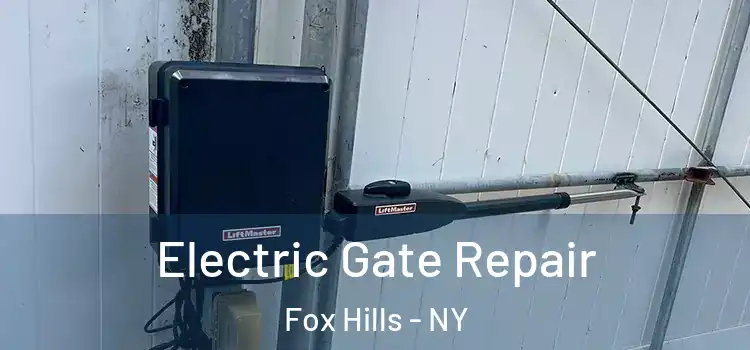  Electric Gate Repair Fox Hills - NY