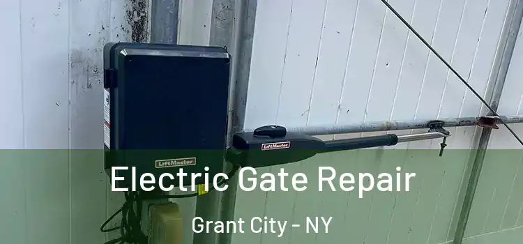 Electric Gate Repair Grant City - NY