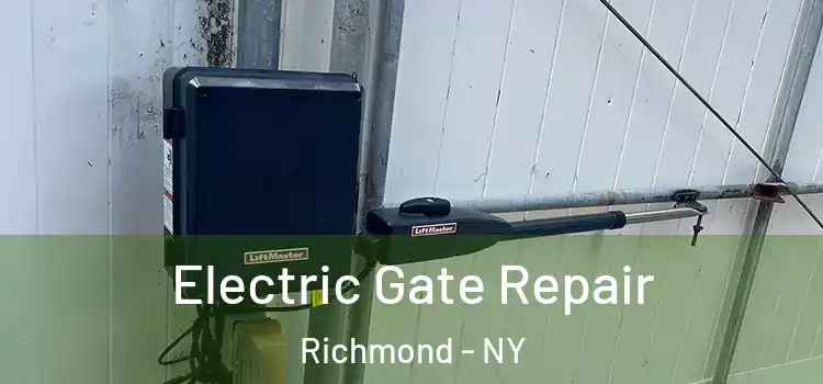 Electric Gate Repair Richmond - NY