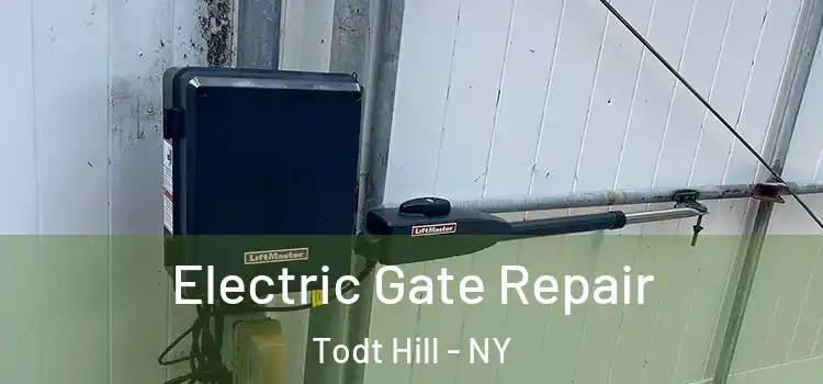 Electric Gate Repair Todt Hill - NY