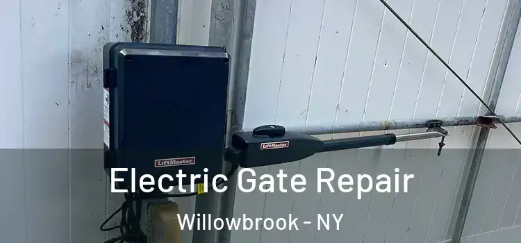  Electric Gate Repair Willowbrook - NY