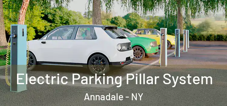  Electric Parking Pillar System Annadale - NY
