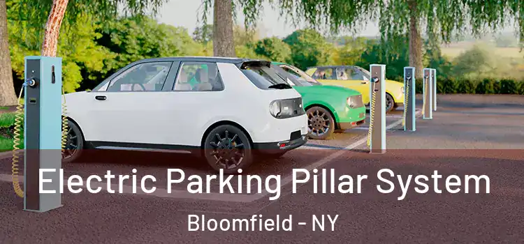 Electric Parking Pillar System Bloomfield - NY